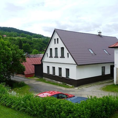 Penzion Pod Studenovem Rokytnice nad Jizerou Exterior foto