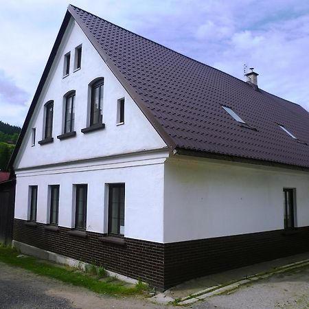 Penzion Pod Studenovem Rokytnice nad Jizerou Exterior foto