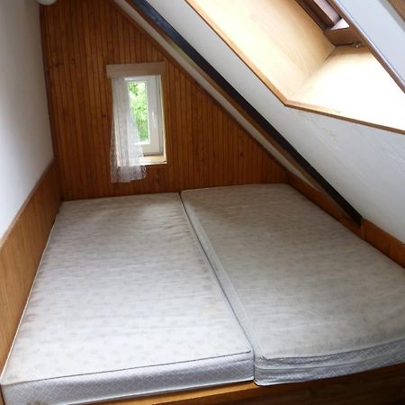 Penzion Pod Studenovem Rokytnice nad Jizerou Exterior foto